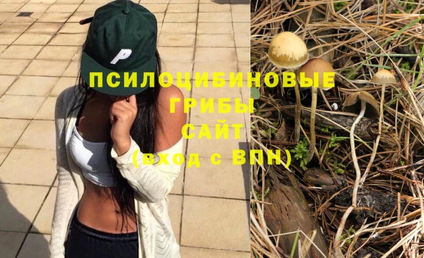 прущая мука Богородск