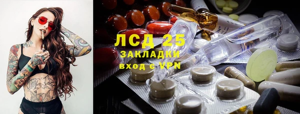 экстази Богданович
