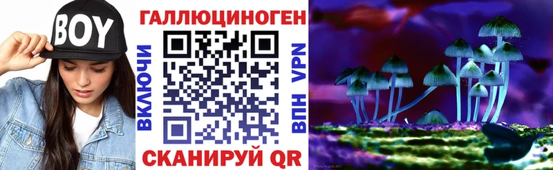 Галлюциногенные грибы GOLDEN TEACHER  закладка  Донецк 